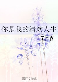 你是我的清歡人生