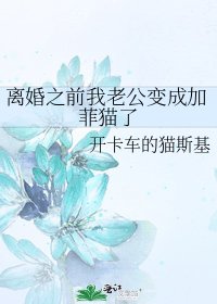 離婚之前我老公變成加菲貓了