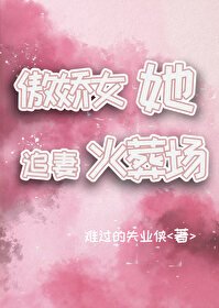 傲嬌女她追妻火葬場